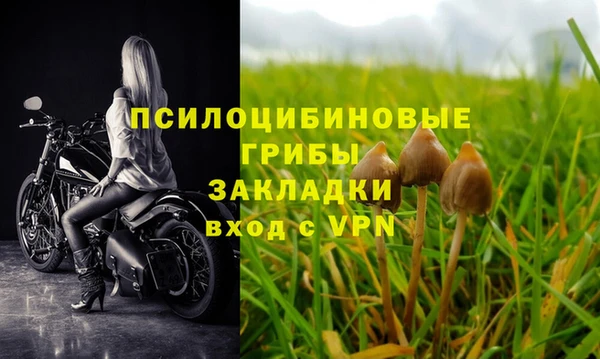 ешки Нефтекумск