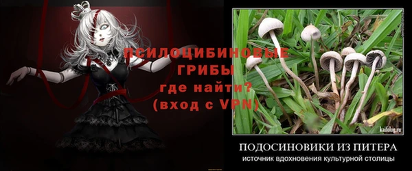 мет Нея