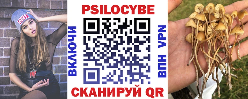 Купить  Красково  Псилоцибиновые грибы Magic Shrooms 